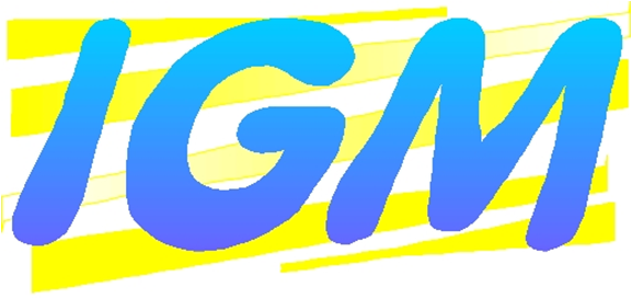 IGM, empresa de software de gestión desde 1989